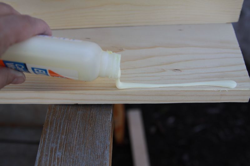 pouring wood glue along the edge of a piece of wood