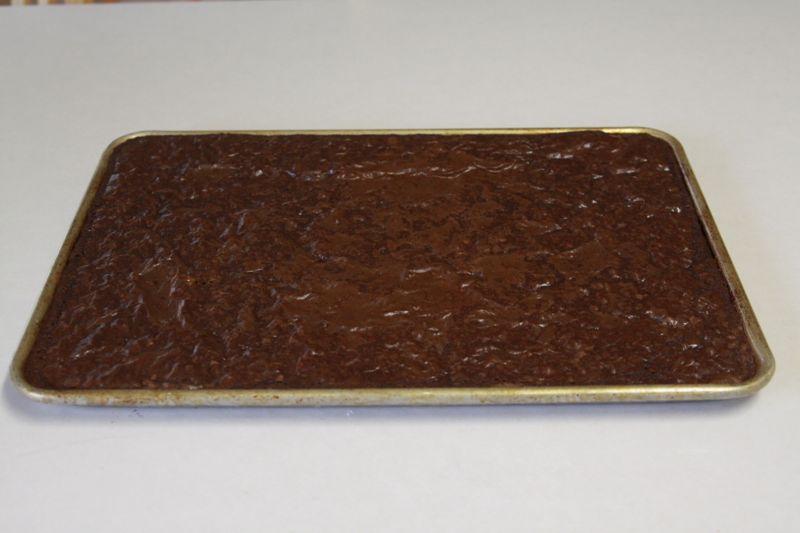 Baked brownies in a cookie sheet