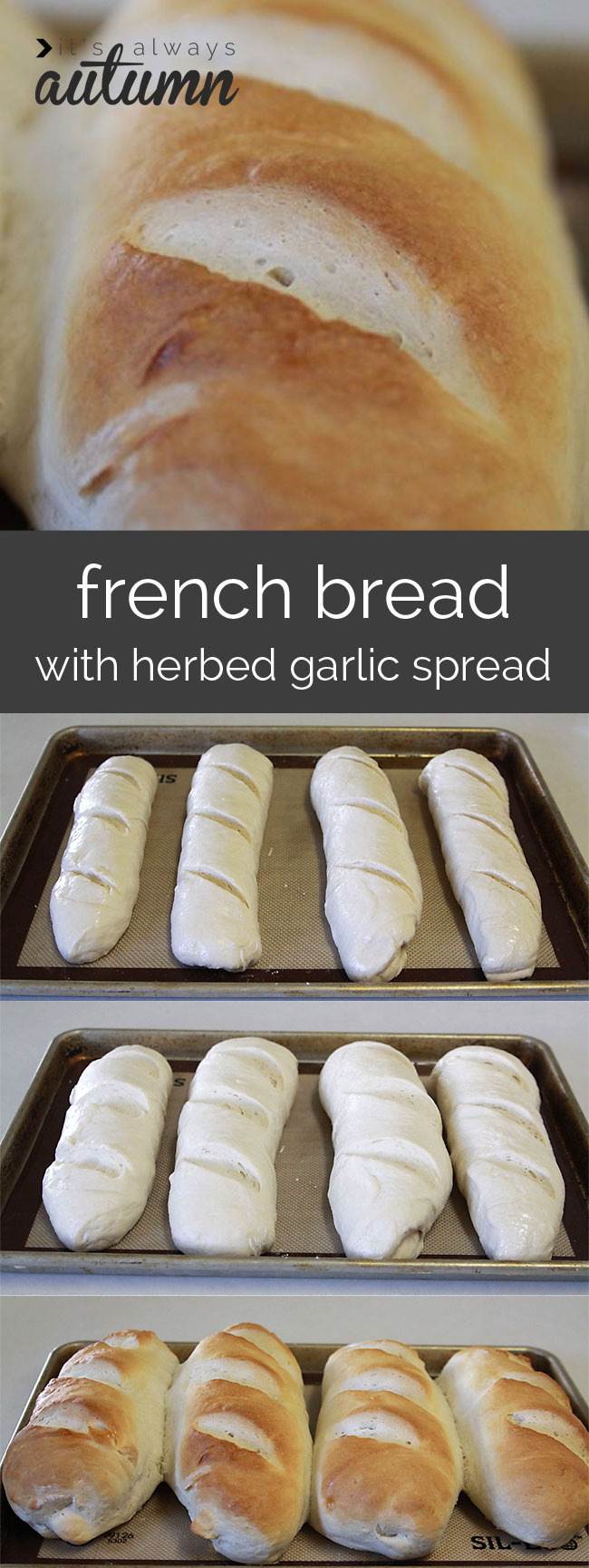 the best homemade french bread recipe + step by step photo directions on how to make