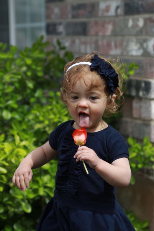 a little girl trying to lick a flower
