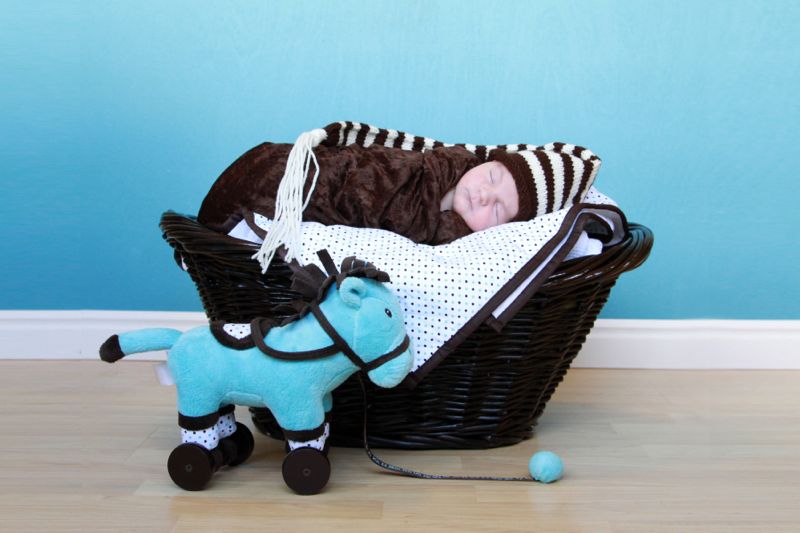 Newborn photo pose: baby wrapped in a blanket, lying in a basket next to a toy horse