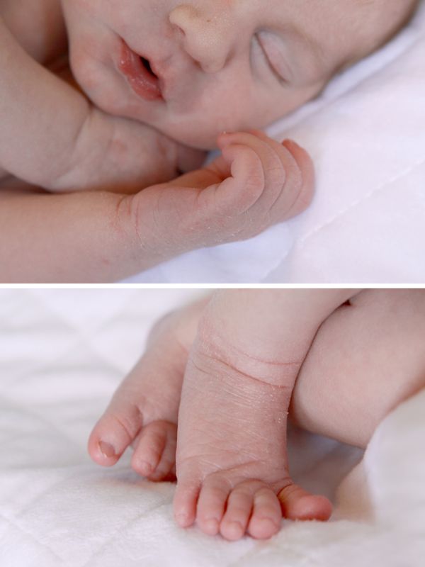 CLoseup photos of newborns hands and feet