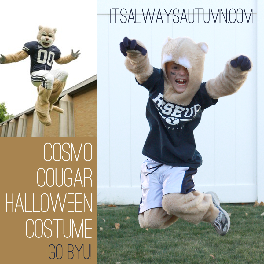 Boy jumping in a DIY Cosmo Cougar Halloween costume