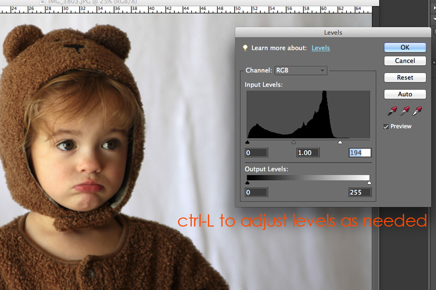 Using the levels box in Photoshop Element to adjust brightness