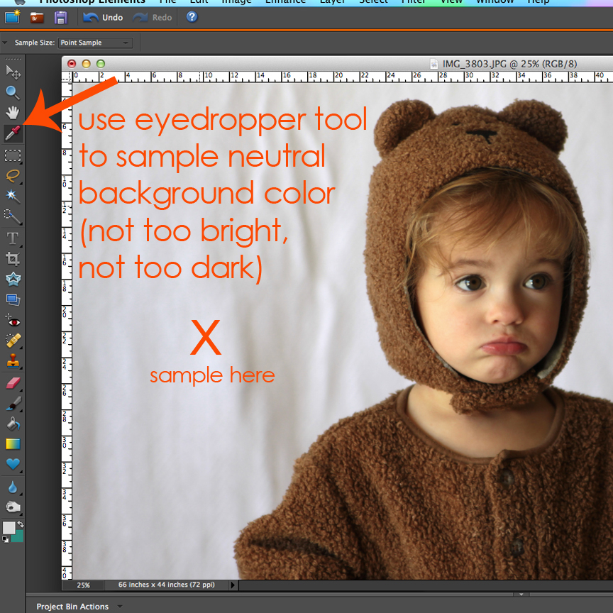 Use eyedropper tool to sample neutral background color, not too bright, not too dark, of the photo of the baby girl
