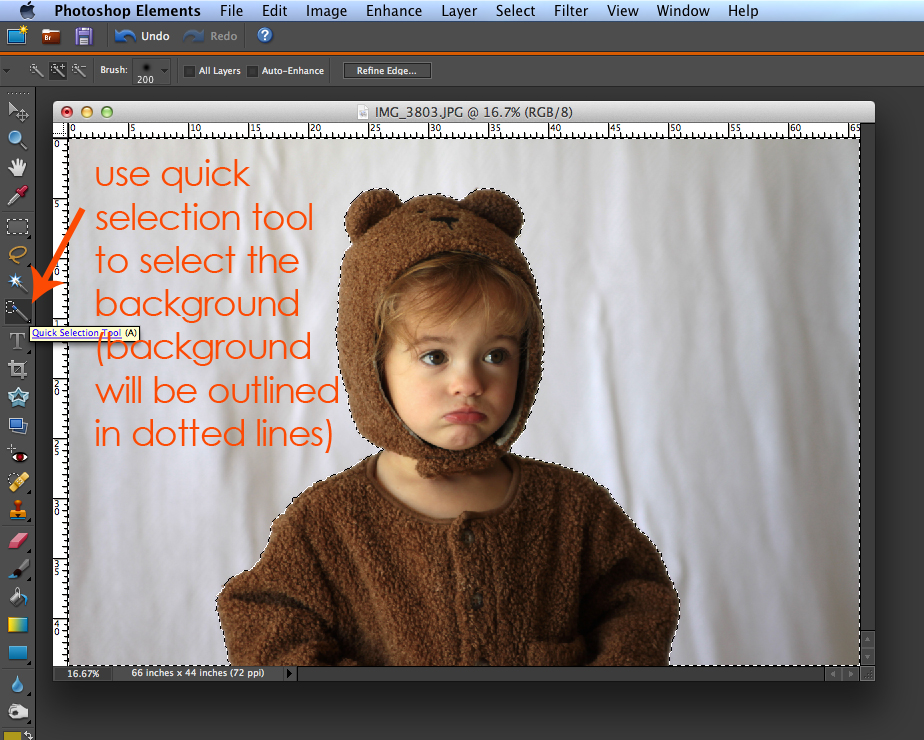 use quick selection tool to select the background (background will be outlined in dotted lines) on the photo of baby girl