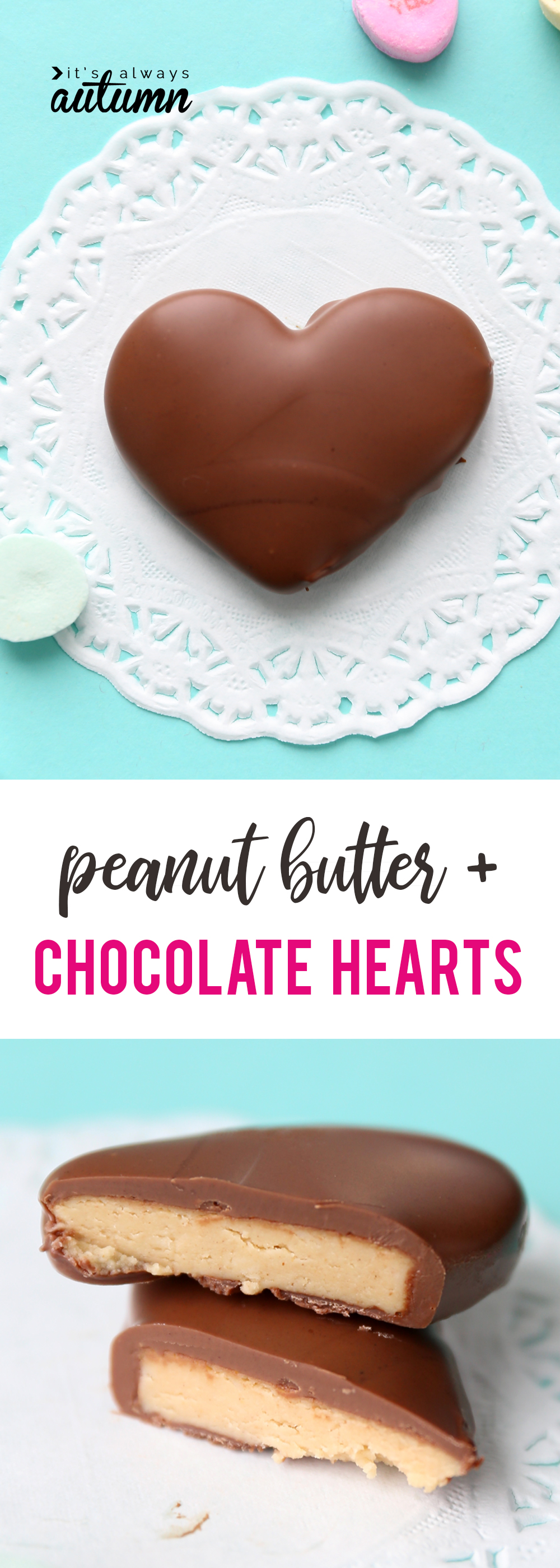 Peanut butter hearts covered in chocolate