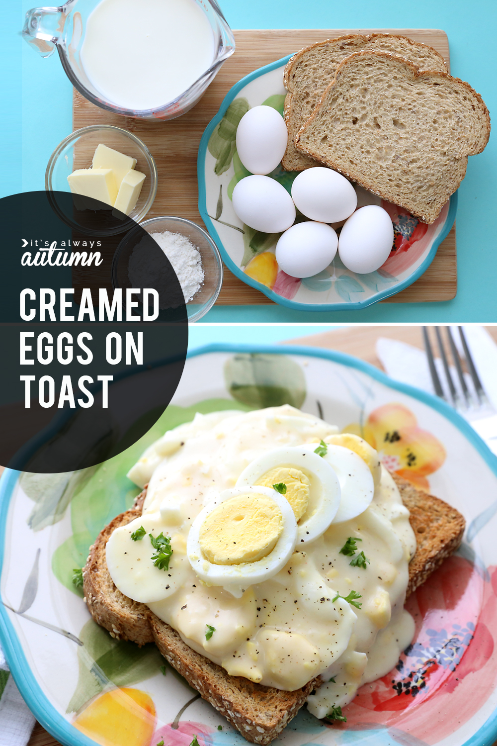 Creamed eggs on toast