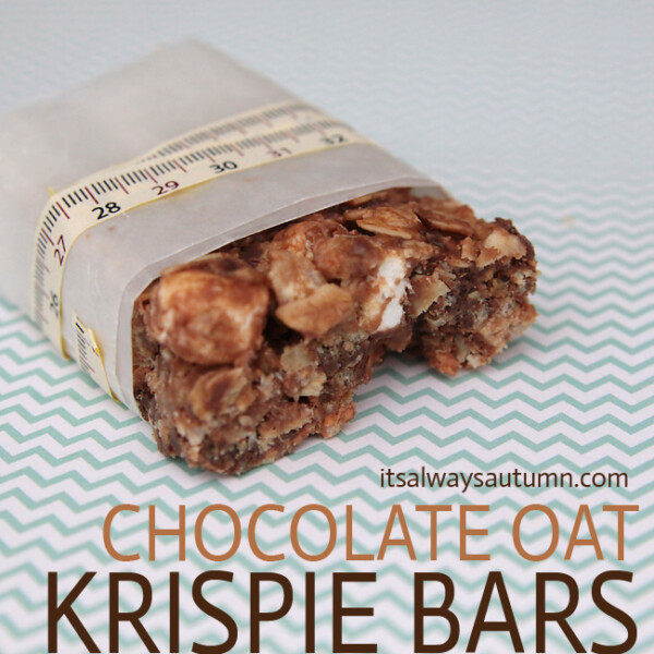 chocolate oat krispie bar