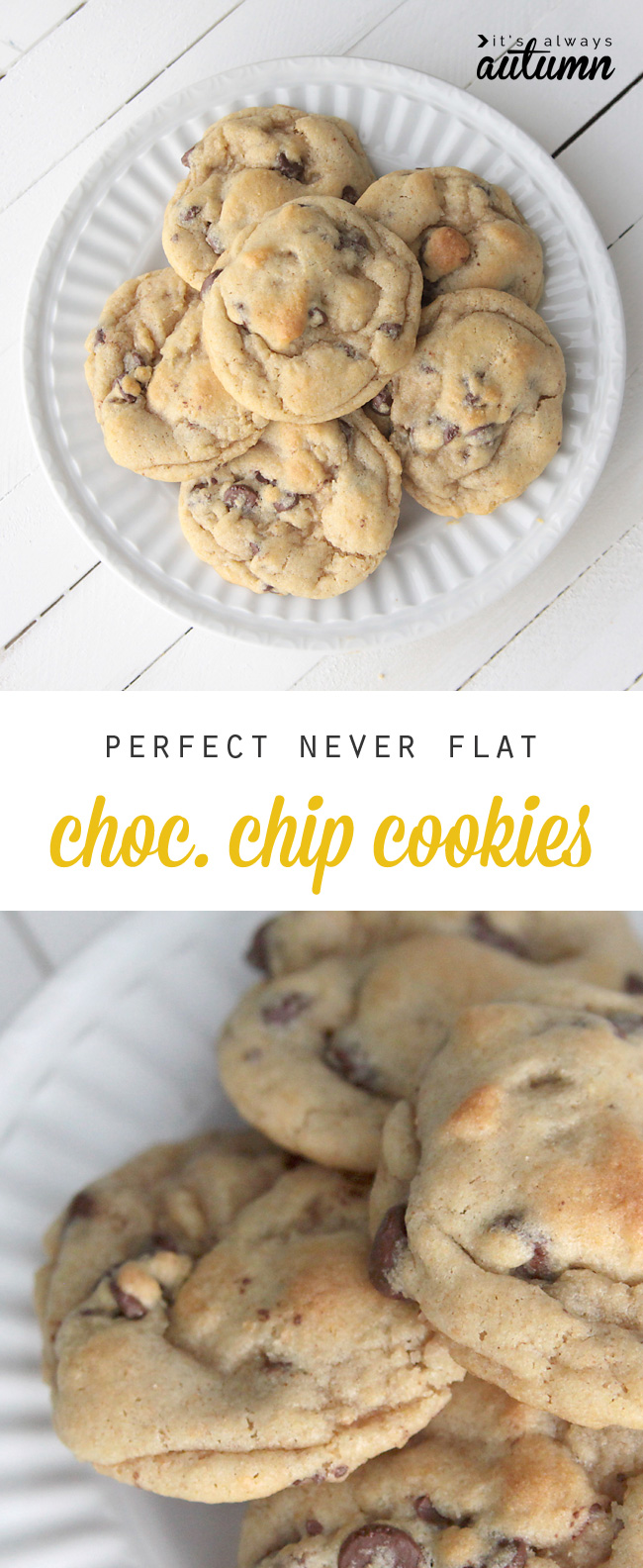 This recipe makes the best chocolate chip cookies! They're always chewy and delicious and they never go flat.