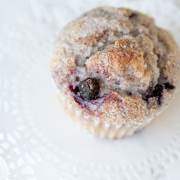 blueberry muffin with cinnamon on top