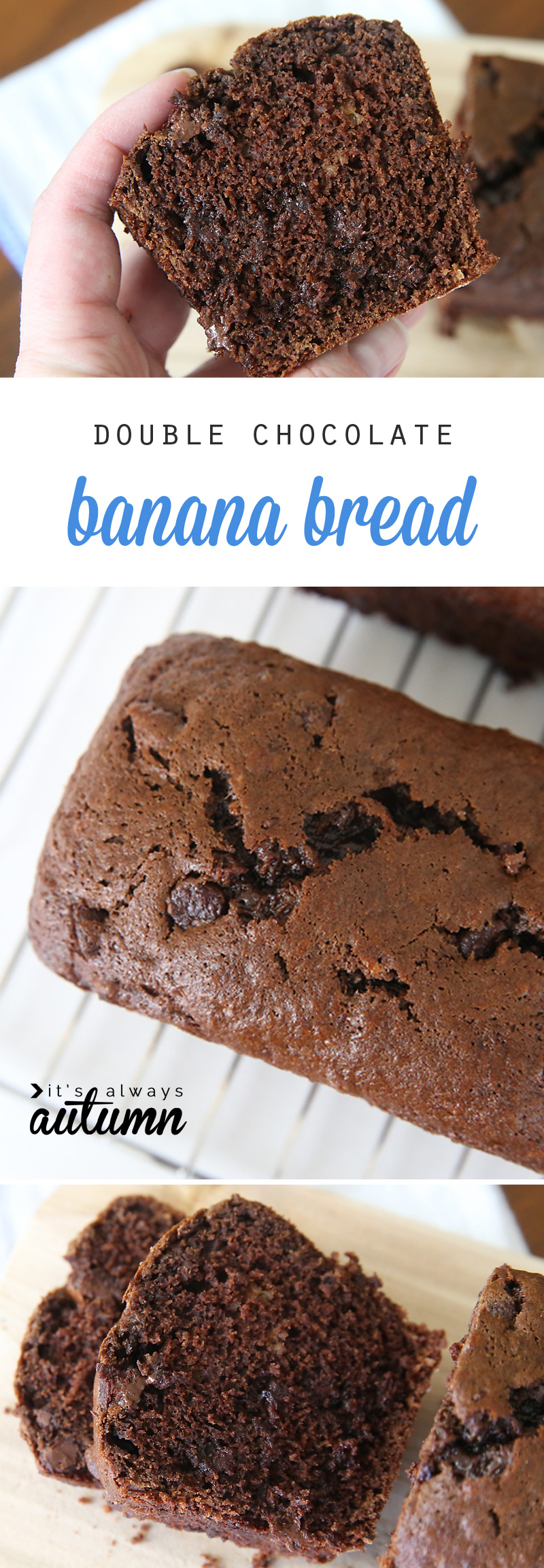decadent double chocolate banana bread recipe Its Always Autumn decadent double chocolate banana bread recipe Its Always Autumn