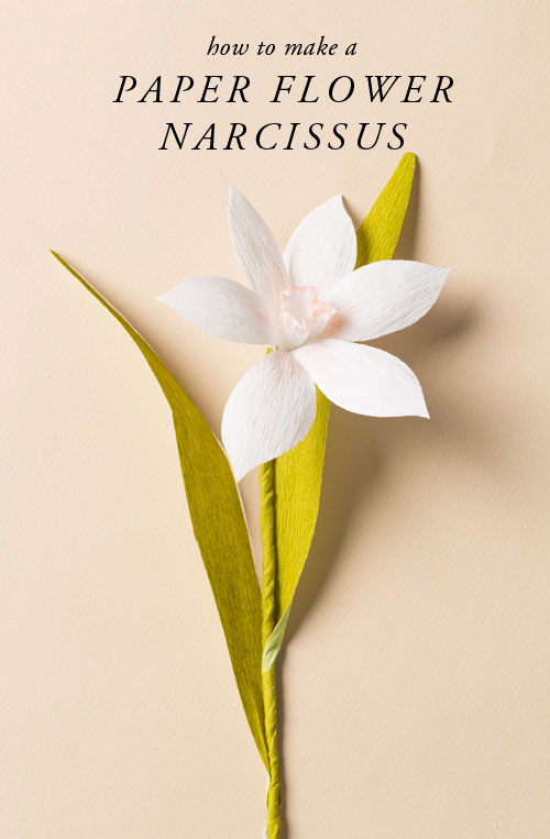 Beautiful DIY paper narcissus flower