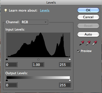 levels tool in Photoshop Elements