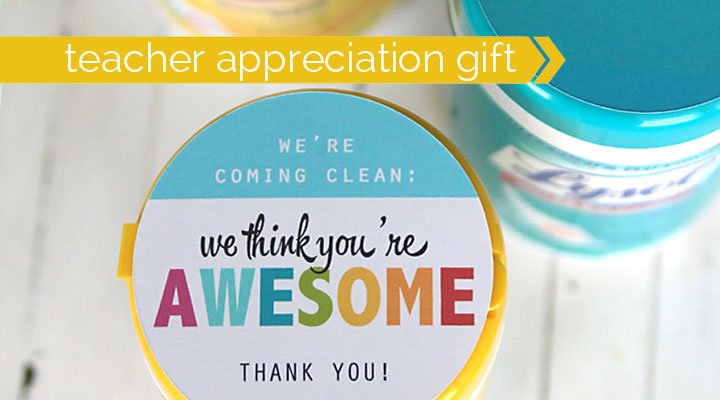 this is a great teacher appreciation gift! sanitizing wipes with cute printable sayings - cheap, easy, and practical.
