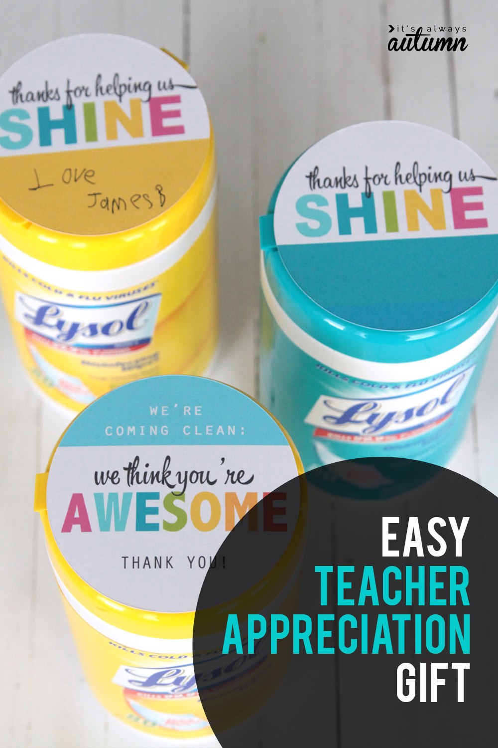 Easy teacher appreciation gift idea: sanitizing wipes. Teachers go through buckets of these! Click through for the printable tags.