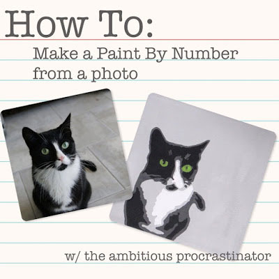 picture of a cat; paint by number made from the picture