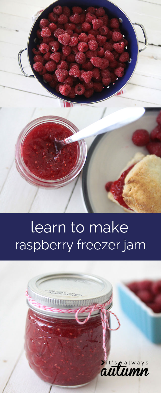 Raspberries and homemade raspberry freezer jam