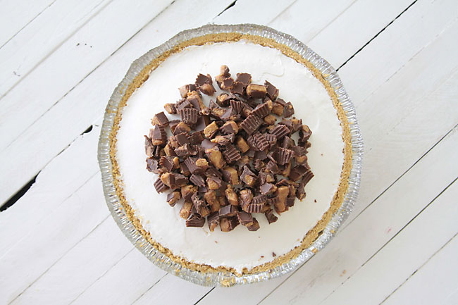 No bake cheesecake in a tin covered with chopped Reese\'s peanut butter cups