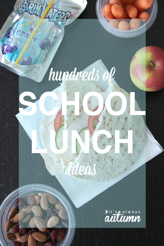 hundreds of school lunch ideas - easy, gluten & nut free, etc.