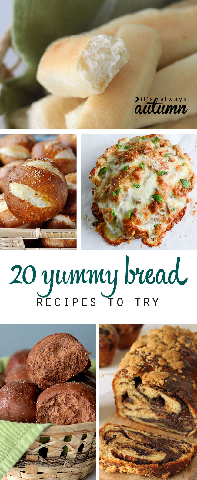 20 amazing bread recipes to try - from easy breadsticks to pretzel rolls, pizza bread, and more!