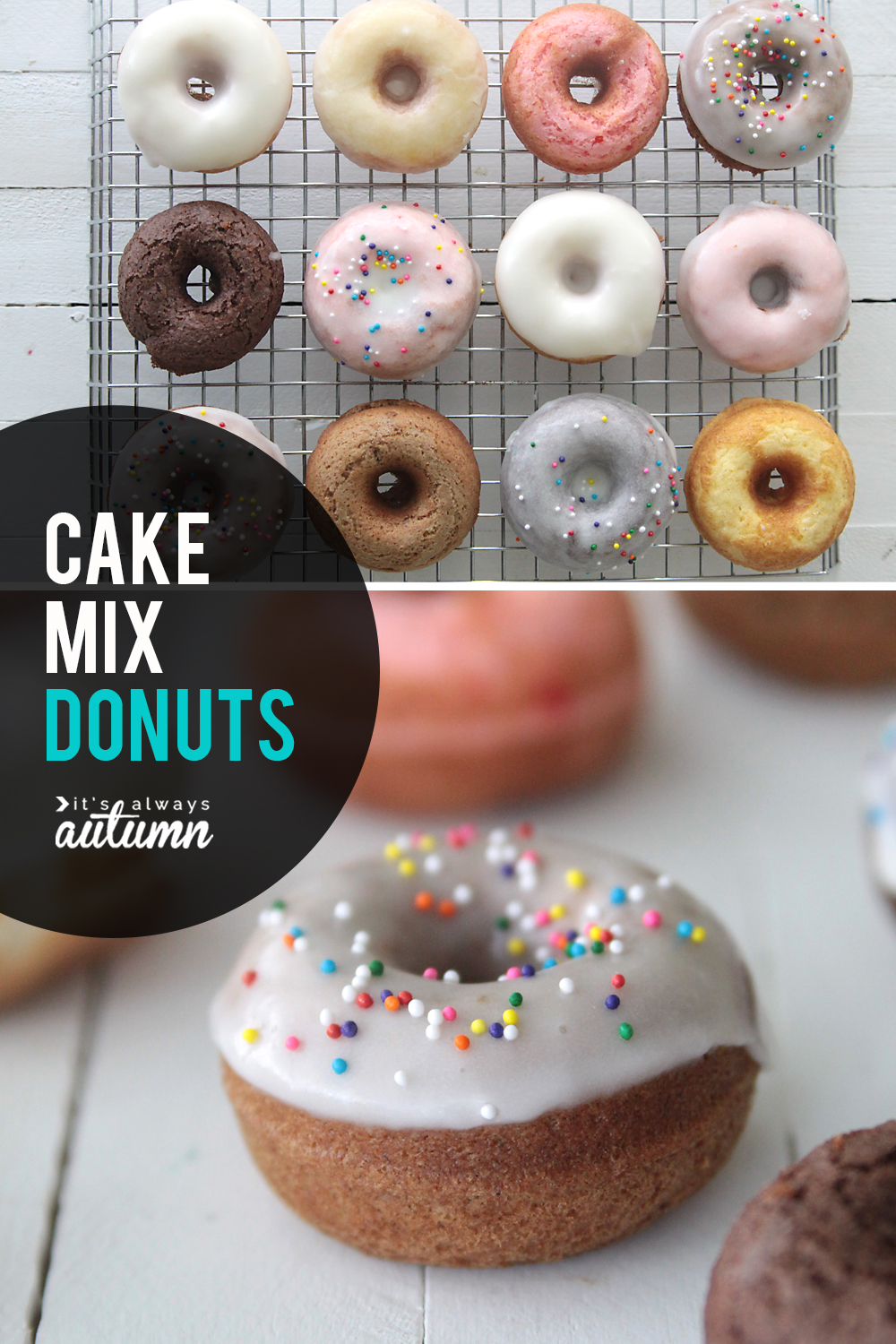 How to make cake mix donuts! This easy mini donut recipe is baked, not fried, and only takes 15 minutes start to finish.