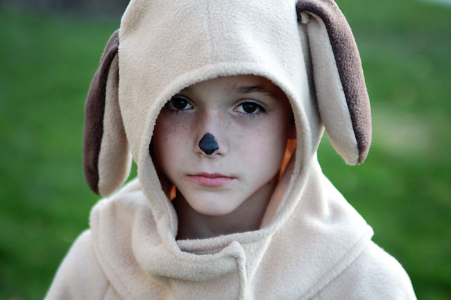 A close up of a boy in a dog costume