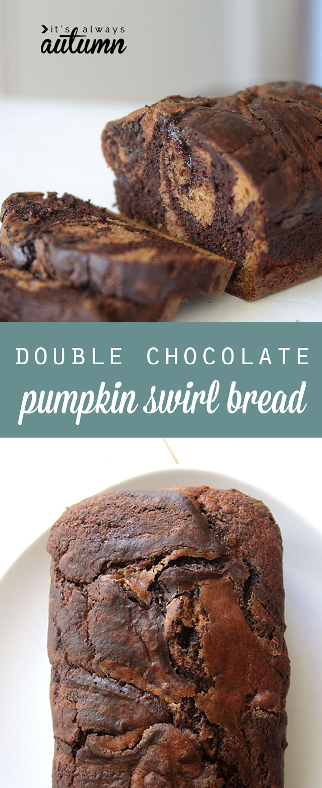this recipe looks incredible! pumpkin bread swirled with chocolate pumpkin bread and melted chocolate!