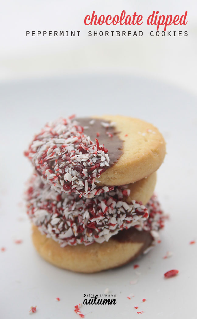chocolate peppermint shortbread cookies easy recipe!