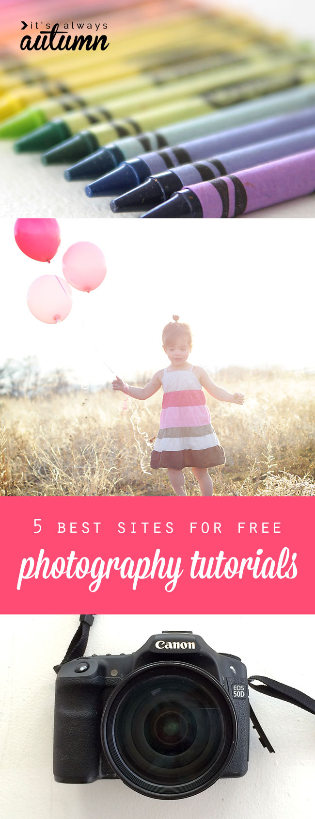 5 best sites for free online photography tutorials. I need to check these out and learn how to use my camera!