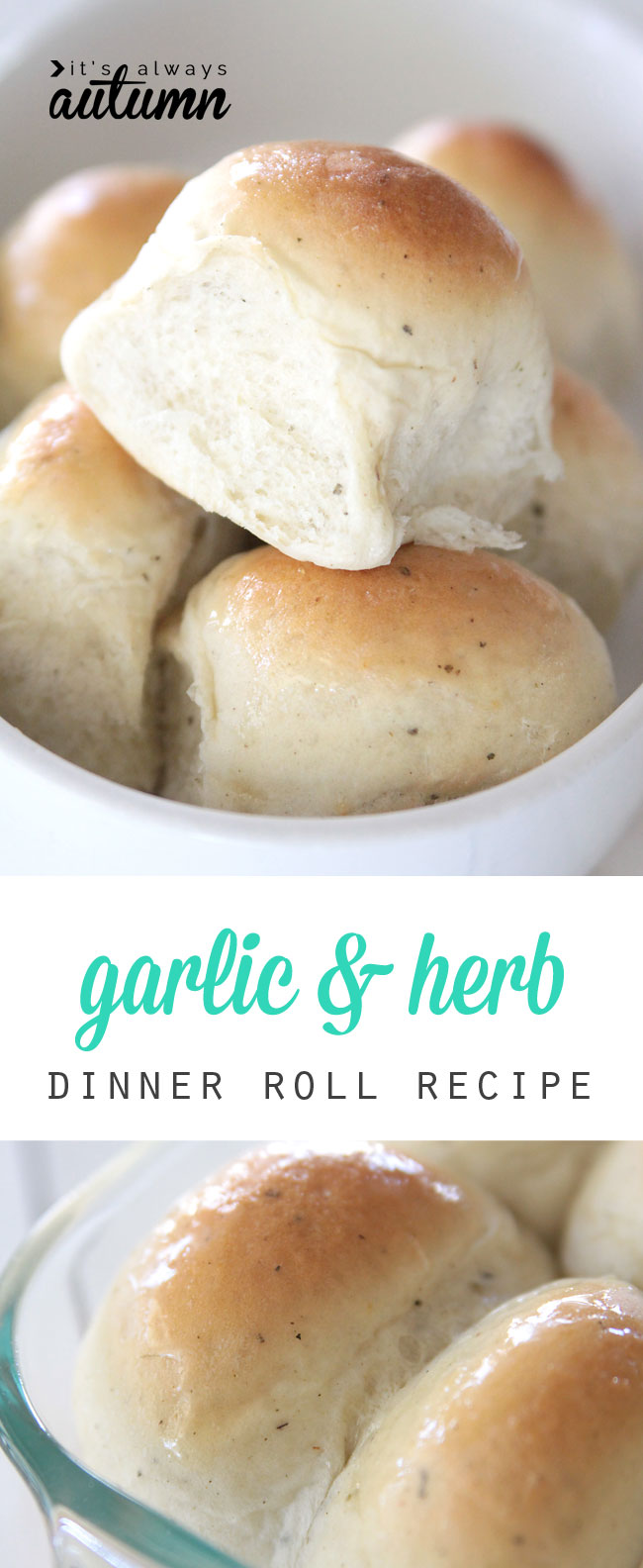 garlic and herb dinner rolls in a bowl