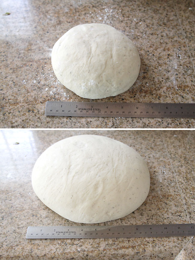 Ball of roll dough before and after the first rise