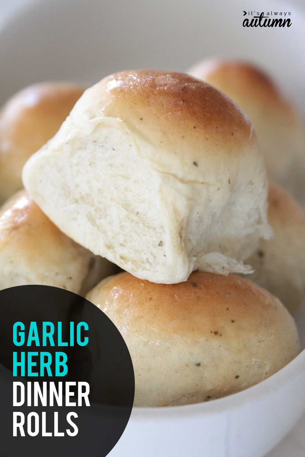 These are the best dinner rolls you've ever tasted! Garlic herb dinner roll recipe.