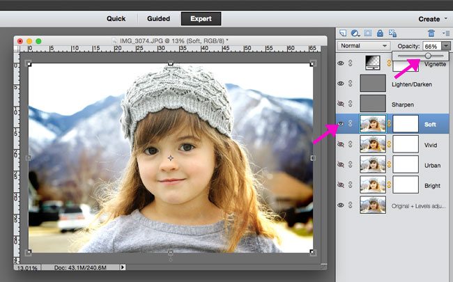 A brightened photo in Photoshop Elements