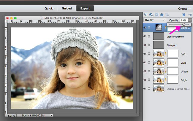 changing the opacity of a layer in photoshop elements