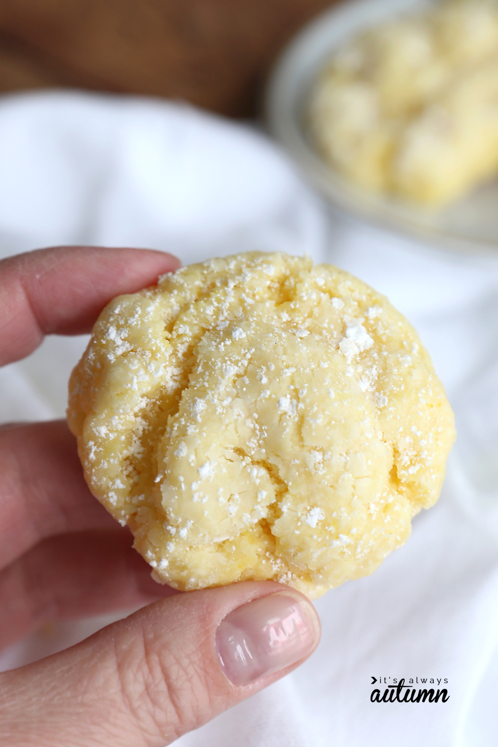 Hand holding a lemon cookie dusted with powdered sugar