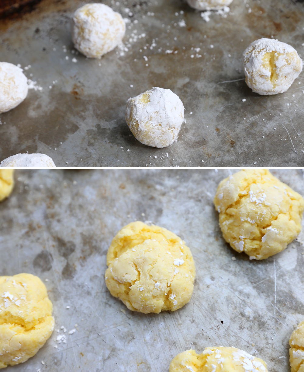 Lemon cookie dough balls rolled in powdered sugar on a cookie sheet; baked lemon cookies