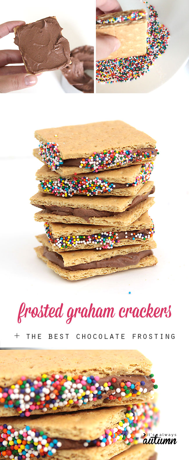 frosted graham crackers + the best chocolate frosting recipe It's
