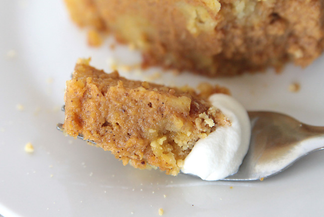 easy pumpkin pie cake recipe: this is even better than pumpkin pie! great for holiday dinners