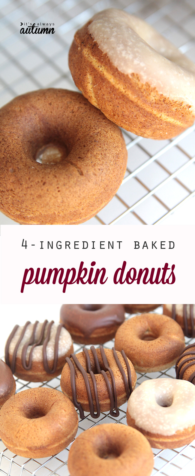 Quick baking in 15 minutes Quick baking in 15 minutes