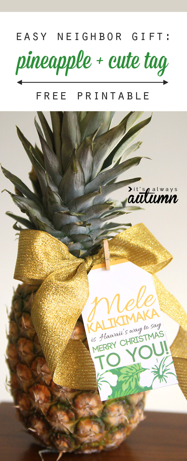 Pineapple with a Christmas gift tag
