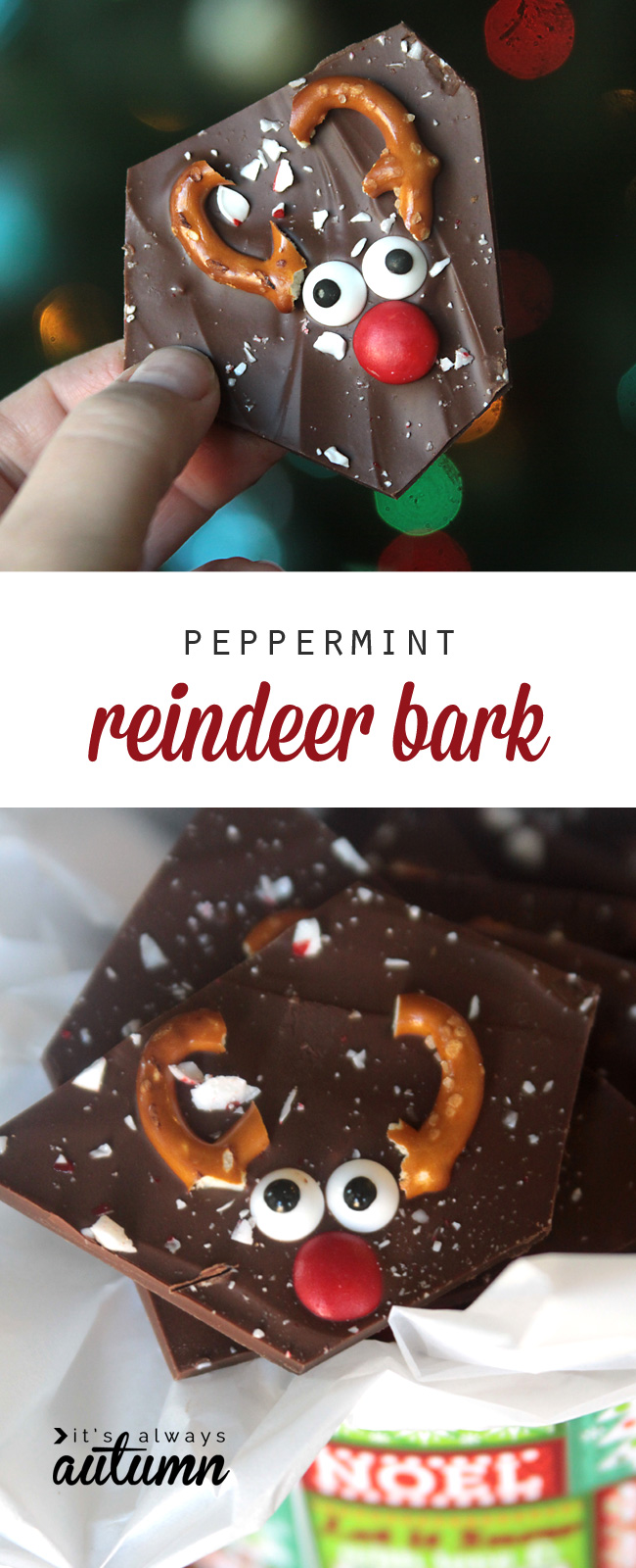 Peppermint bark candy decorated to look like a reindeer