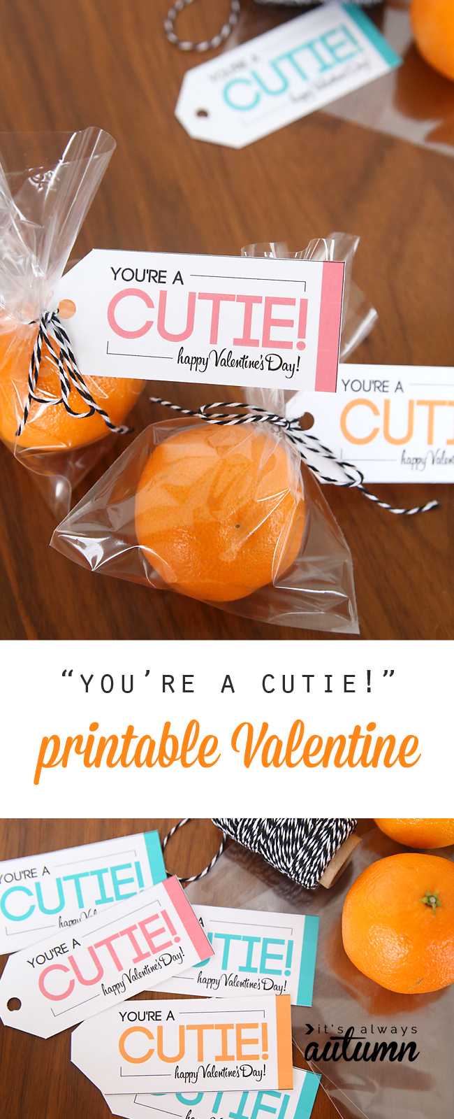Cutie oranges in bags with \"you\'re a cutie\" Valentines Day tags