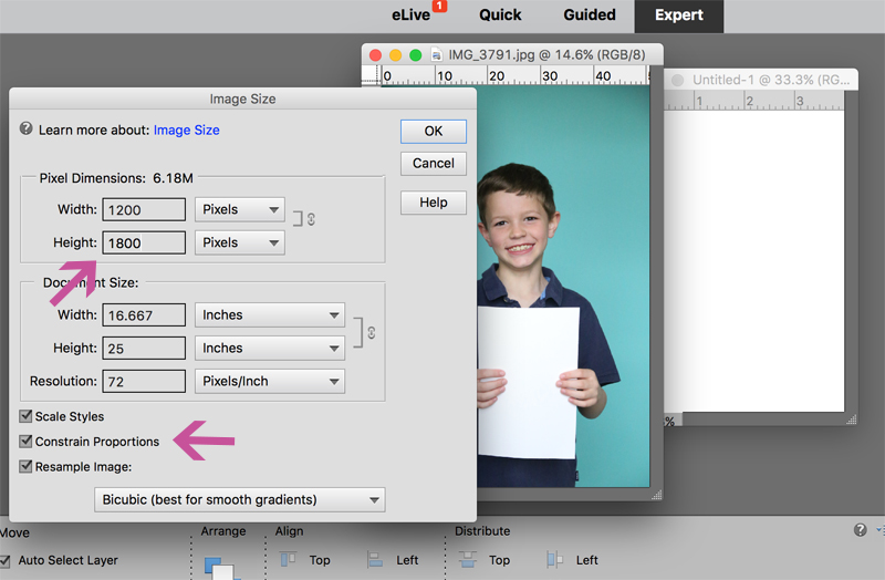 changing the photo size in photoshop elements