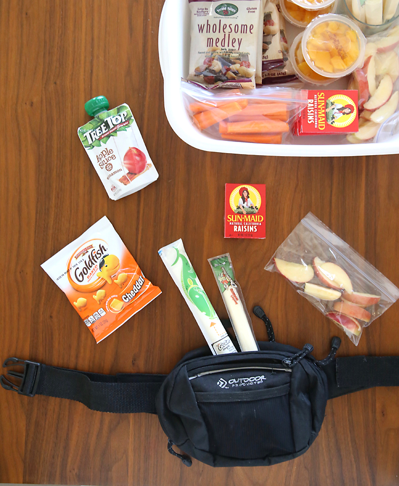 Healthy snacks and a fanny pack