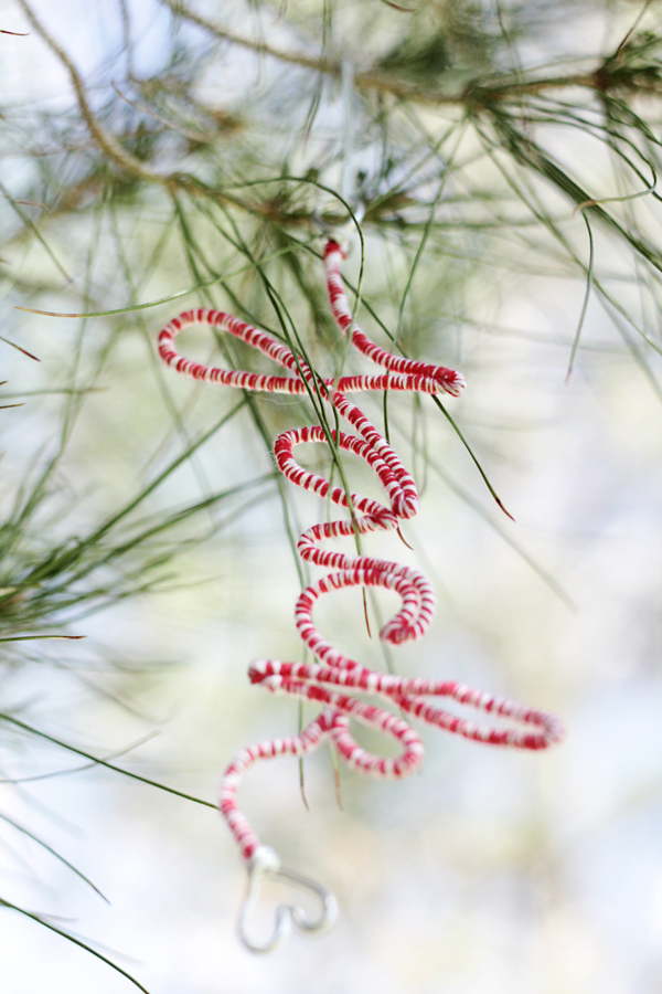 Cheap DIY gift idea: personalized name Christmas ornament hanging on a tree