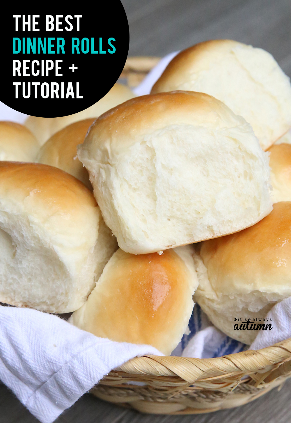 This is THE BEST dinner rolls recipe! Click through for the recipe and video instructions.