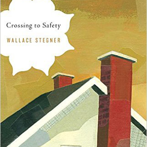 Coming to Safety book cover