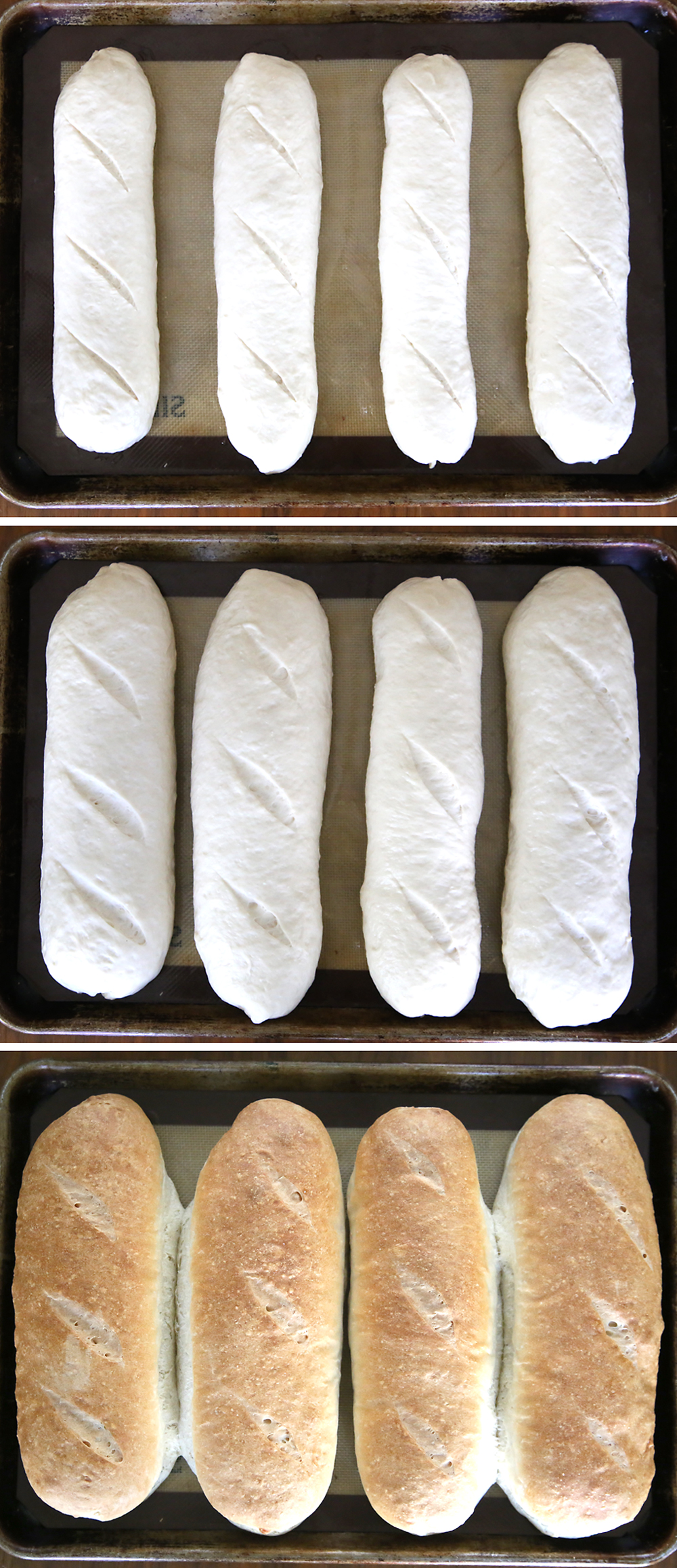 Four pieces of french bread dough shaped into long loaves with three slices on top, on a cookie sheet; collage shows the loaves before the rise, after the rise, and after being baked