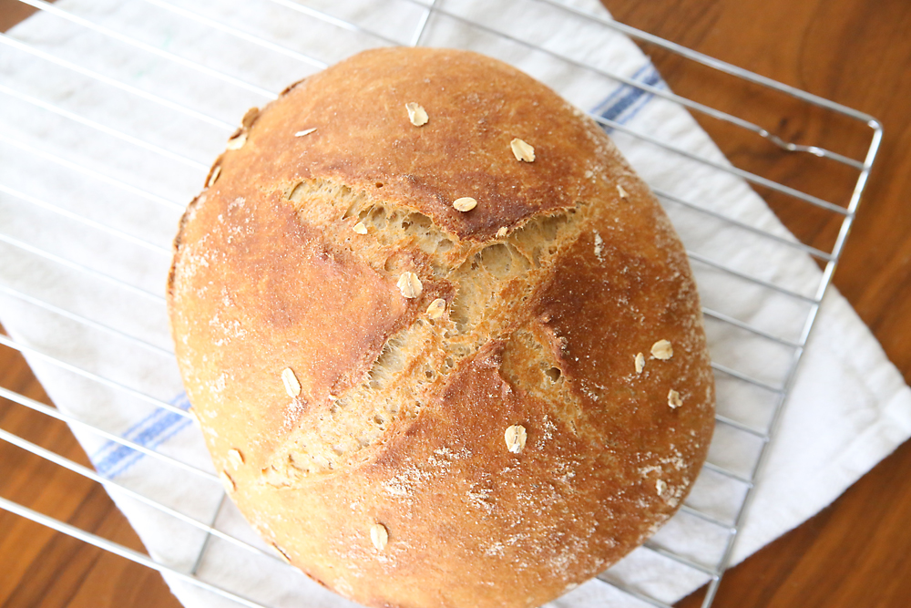 A crusty loaf of 5 ingredient whole wheat artisan bread